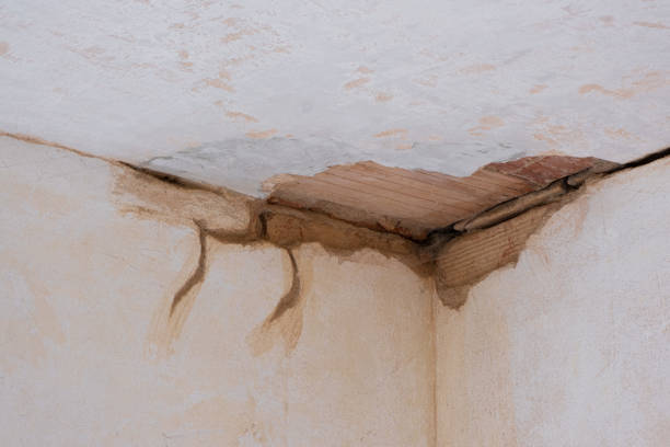 Best Water damage restoration near me  in Oklahoma, PA