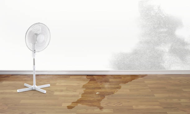 Best Water damage contractors near me  in Oklahoma, PA