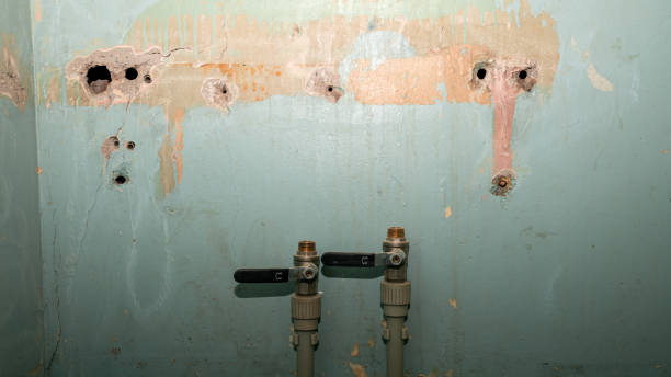 Best Professional water damage repair  in Oklahoma, PA